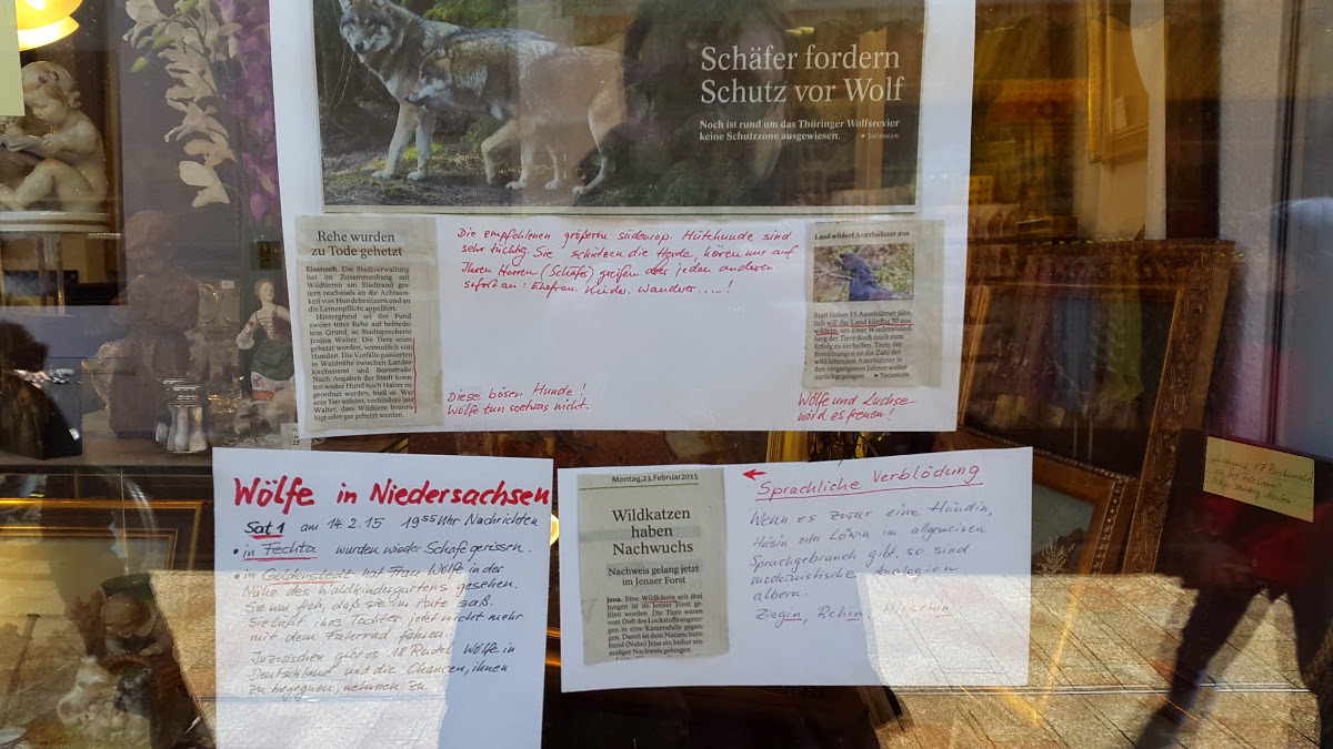 Zeitungsartikel in einem Schaufenster in Eisennach